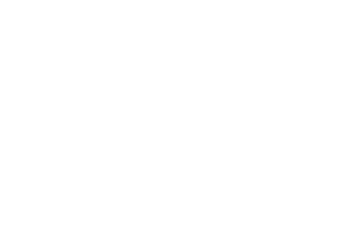 TOOLPETS